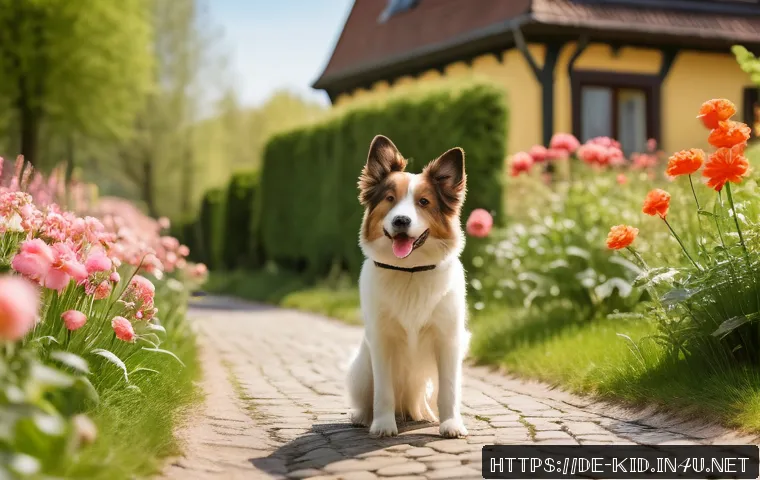 동물과의 교감 교육 - A detailed, realistic scene showing a medium-sized dog with a high, wagging tail and upright ears, e...